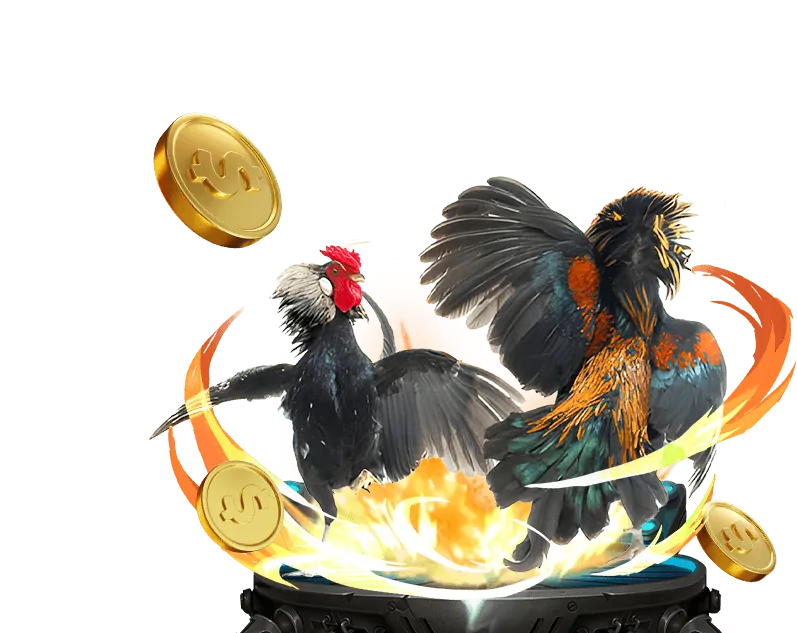 Nền tảng cá cược an toàn và công bằng tt88